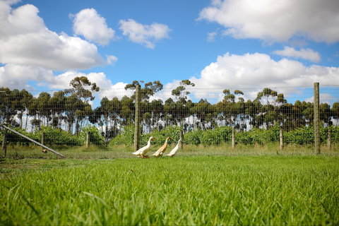 Pierrepoint Wines Cellar Door - Restaurants Sydney 1