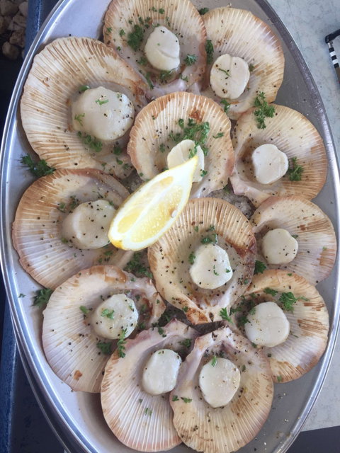 The Deck On Parkyn - Restaurants Sydney 0