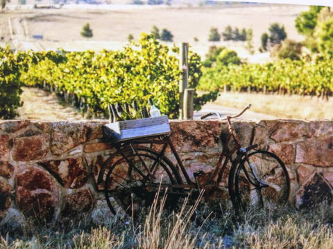 Booths Taminick Cellars - Restaurants Sydney 1