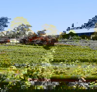 djinta djinta Winery - Restaurants Sydney