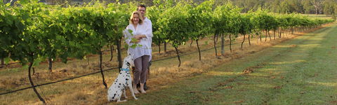 Greenway Wines - Restaurants Sydney 1