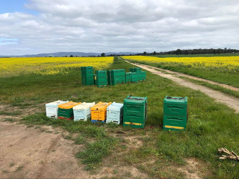The Basin Backyard - Restaurants Sydney 0