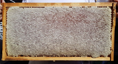 The Basin Backyard - Restaurants Sydney 1