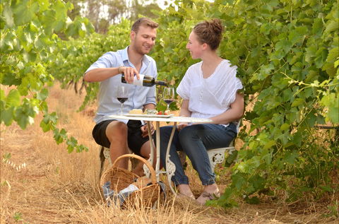 919 Wines - Restaurants Sydney 0