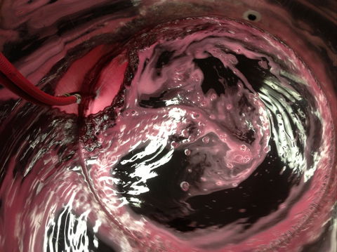 Badger Creek Blueberry Winery - Restaurants Sydney 2