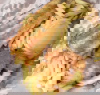 JFC - Restaurants Sydney