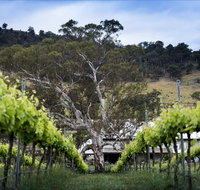 Mount Majura Vineyard - Restaurants Sydney