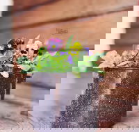 The York Mill - Restaurants Sydney