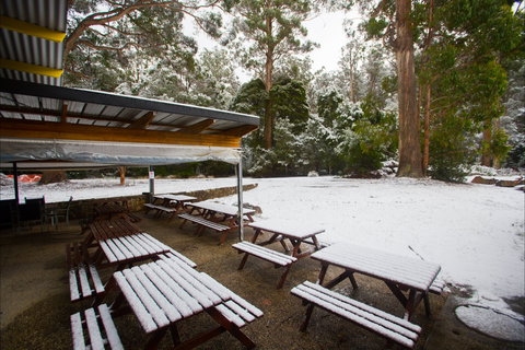 Waterfalls Cafe & Gallery - Restaurants Sydney 0