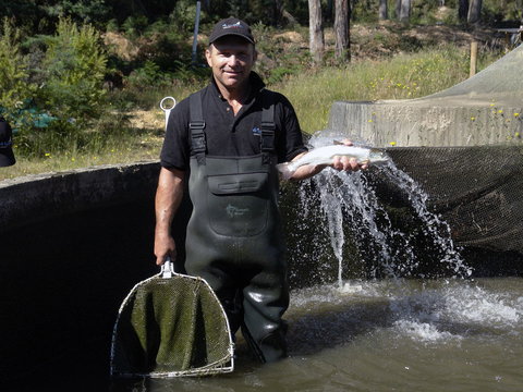 41 Degrees South Tasmania - Restaurants Sydney 0