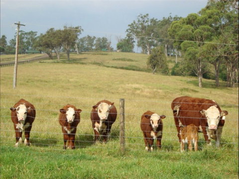 Langdale Farm - Restaurants Sydney 1