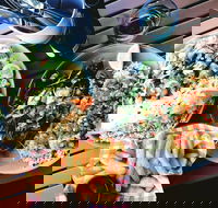 Luxe Fish - Restaurants Sydney