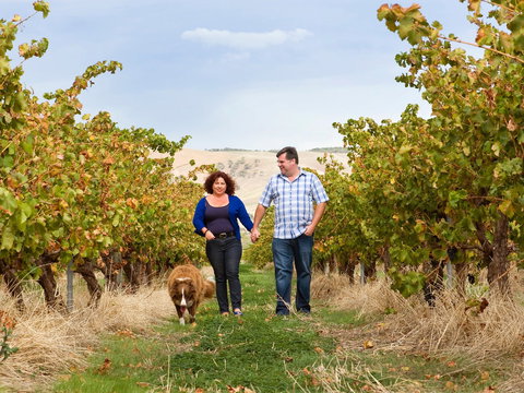 WayWood Wines - Restaurants Sydney 0