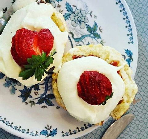 Cuisines - Restaurants Sydney 0