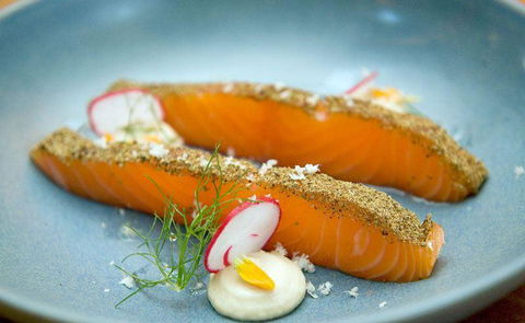Seed Winehouse + Kitchen - Restaurants Sydney 9