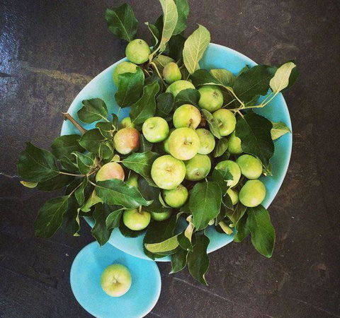 Seed Winehouse + Kitchen - Restaurants Sydney 6