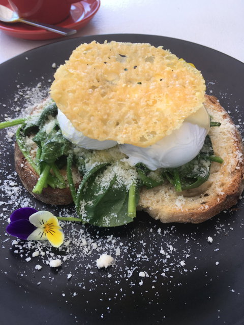 Shaana Cafe - Restaurants Sydney 3