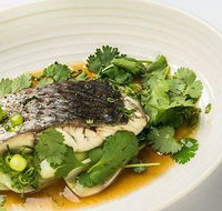 The Mossy Cafe - Restaurants Sydney