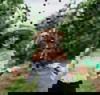 Cherryhill Orchards - Restaurants Sydney