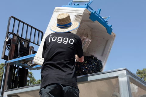 Foggo Wines - Restaurants Sydney 1
