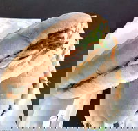 Lunch Bake - Restaurants Sydney