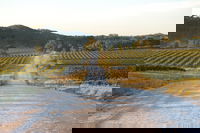 Stone Bridge Wines