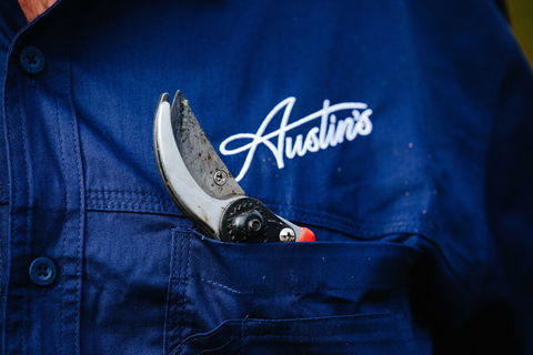 Austin's Wines - Restaurants Sydney 2