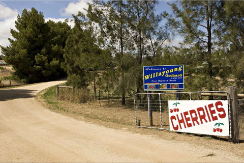 Willayoung Orchard - Restaurants Sydney 1