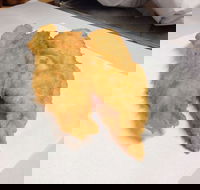 Hooked and Cooked Fish and Chips - Restaurants Sydney