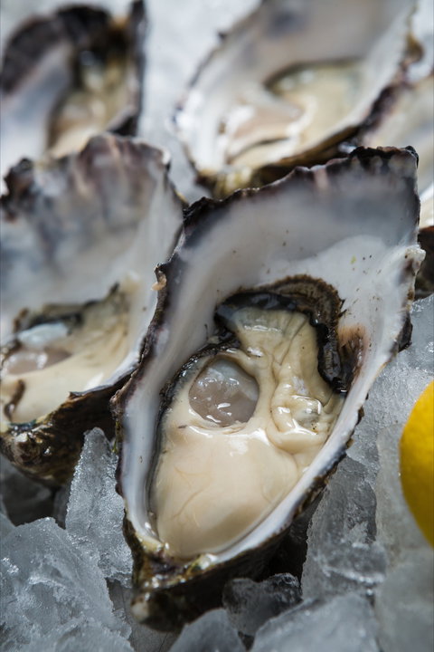 Lobster Shack Tasmania - Restaurants Sydney 1