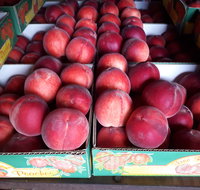 Martins Orchard - Restaurants Sydney