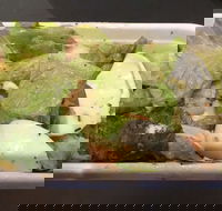 Pronto Pizza - Restaurants Sydney