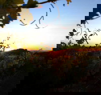 Glenbosch Wine Estate - Restaurants Sydney