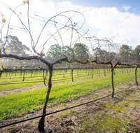 Long Point Vineyard and Art Gallery - Restaurants Sydney