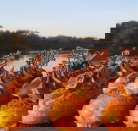 Wharf Street Cafe - Restaurants Sydney