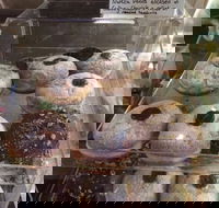 Gaffney Place - Restaurants Sydney