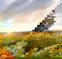 Hahndorf Hill Winery - Restaurants Sydney