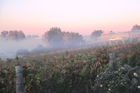 Sittella Winery & Restaurant - Restaurants Sydney 1