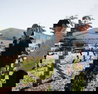 Warrabilla Wines - Restaurants Sydney