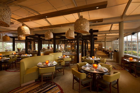 Ilkari Restaurant - Restaurants Sydney 0