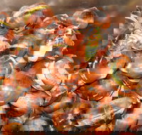 Tweenhills Chestnuts - Restaurants Sydney