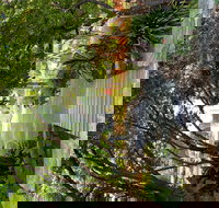 Velvet  Willow - Restaurants Sydney