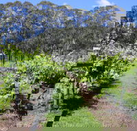 Woongooroo Estate Winery - Restaurants Sydney