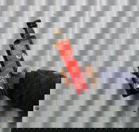 Red Rock Olives - Restaurants Sydney