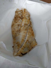 Chipper Fish