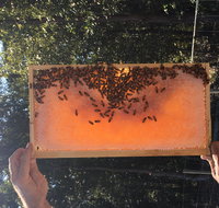 Clayridge Honey - Restaurants Sydney
