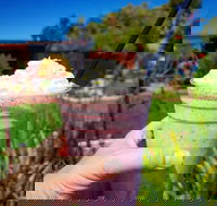 Flower Cellar Door and Cafe - Restaurants Sydney