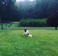 Goat Hill Farm - Restaurants Sydney