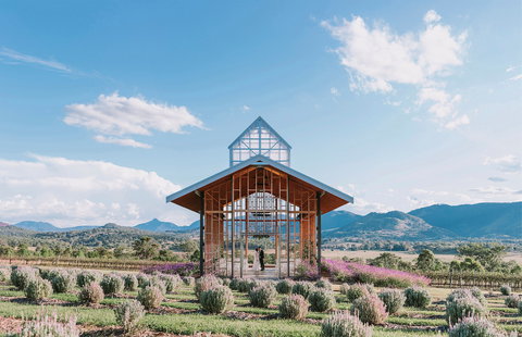 Kooroomba Vineyard And Lavender Farm - Restaurants Sydney 0