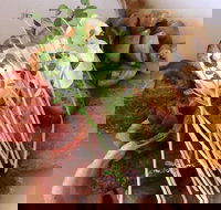 Maudy's Restaurant and Bar - Restaurants Sydney